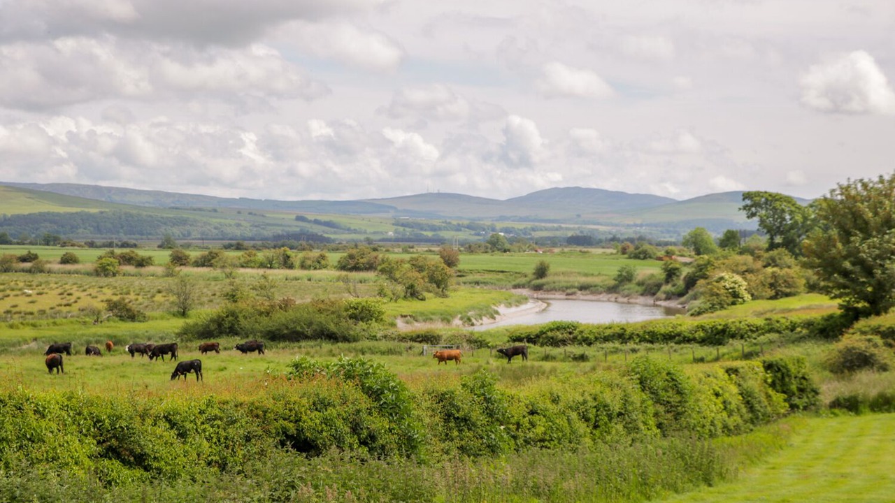 Photo of Outdoor in Newton Stewart