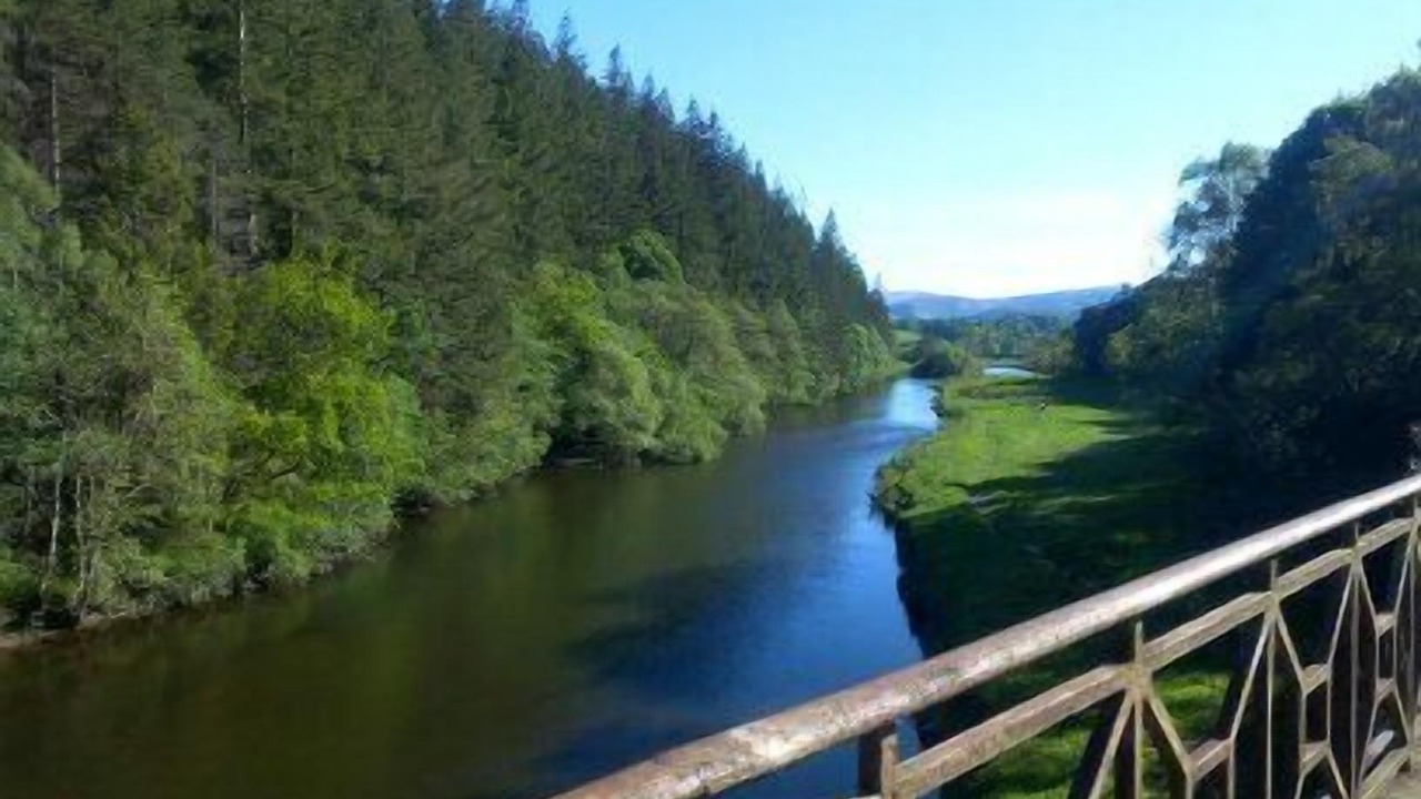 Photo of Others in Peebles