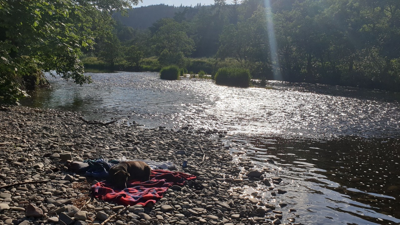 Photo of Others in Peebles