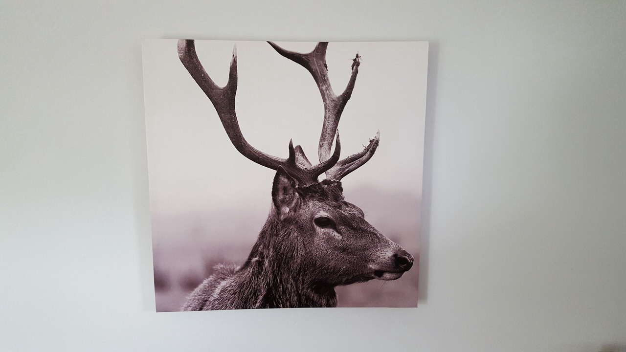 Photo of Others in Peebles