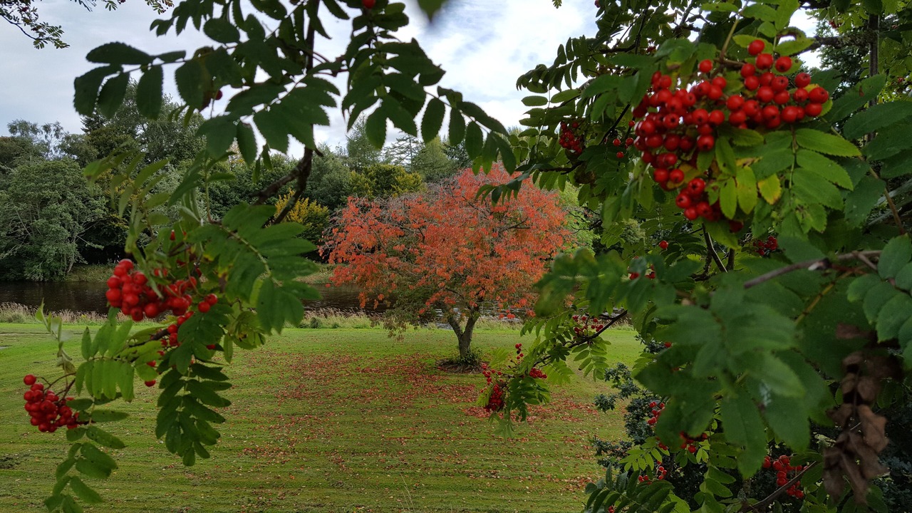 Photo of Outdoor in Peebles