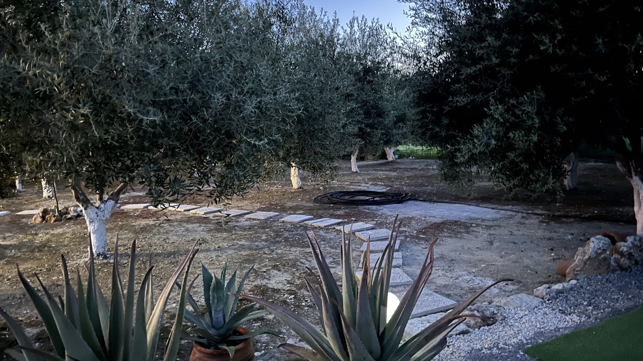 Photo of Outdoor in Roumeli