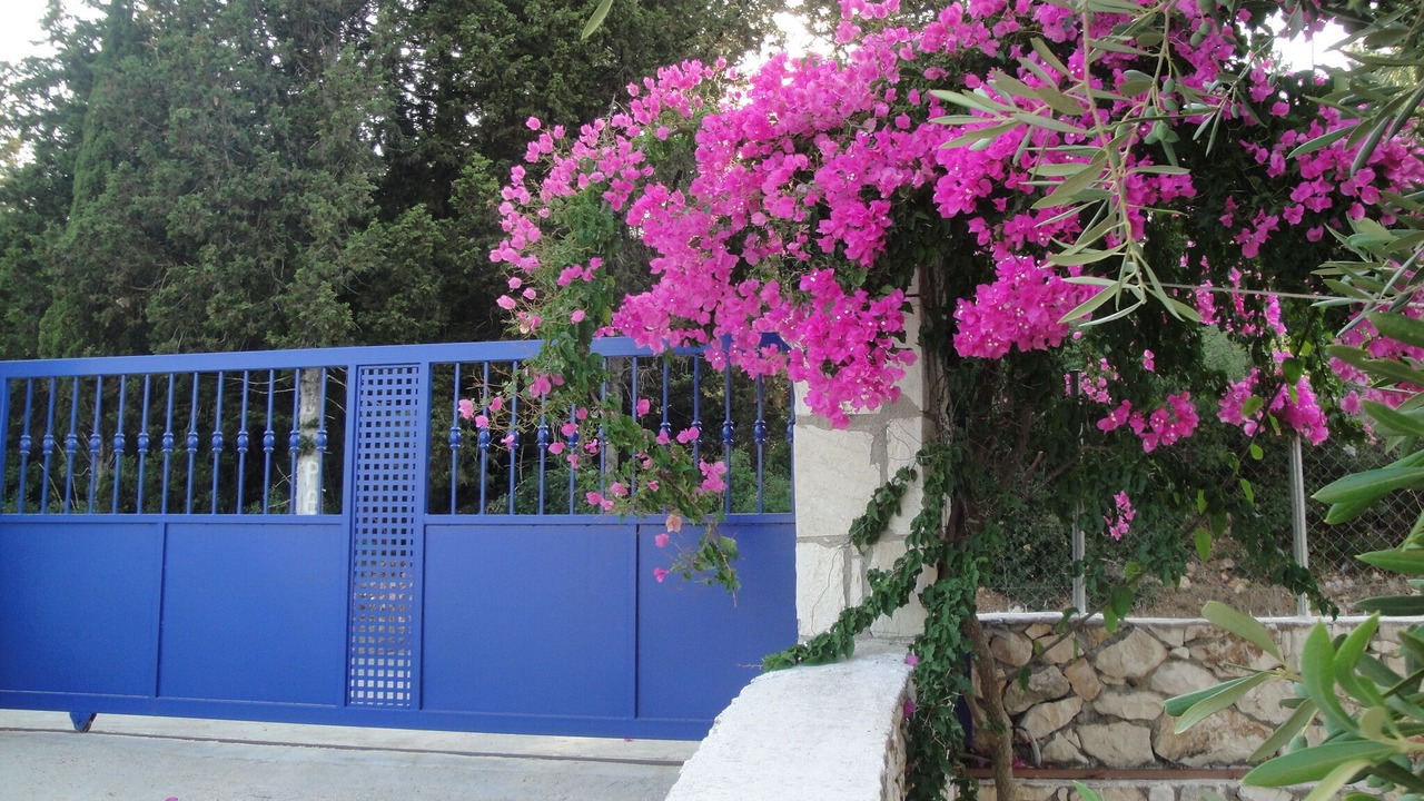 Photo of Outdoor in Tselendata