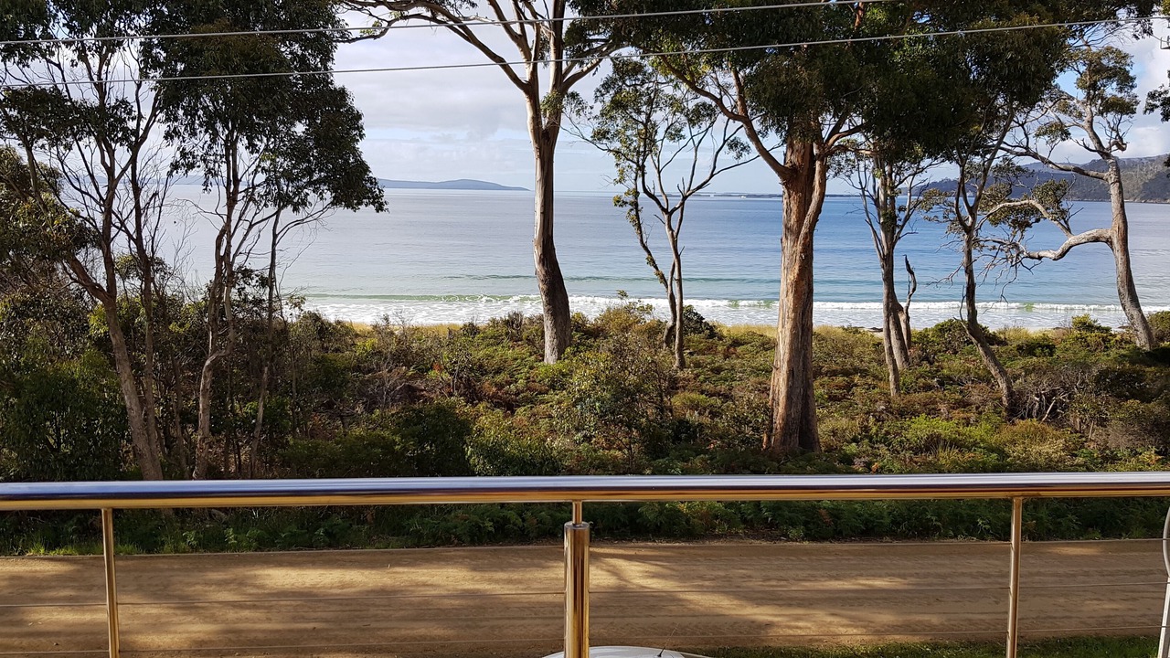 Photo of Others in Surveyors Bay