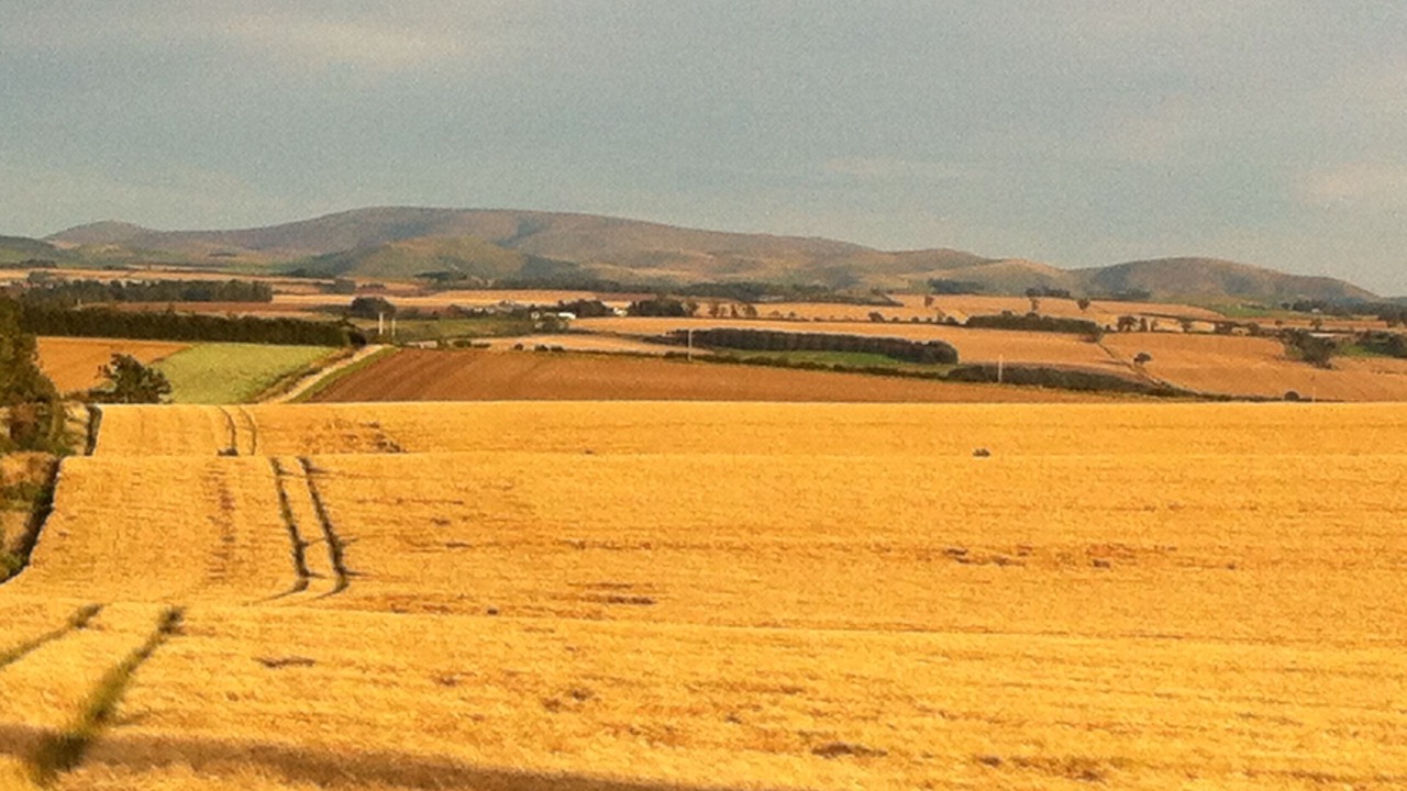 Photo of Others in Coldstream