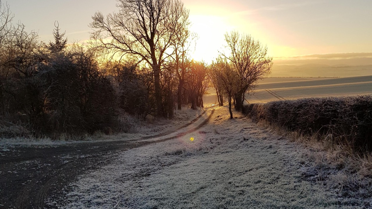 Photo of Others in Coldstream