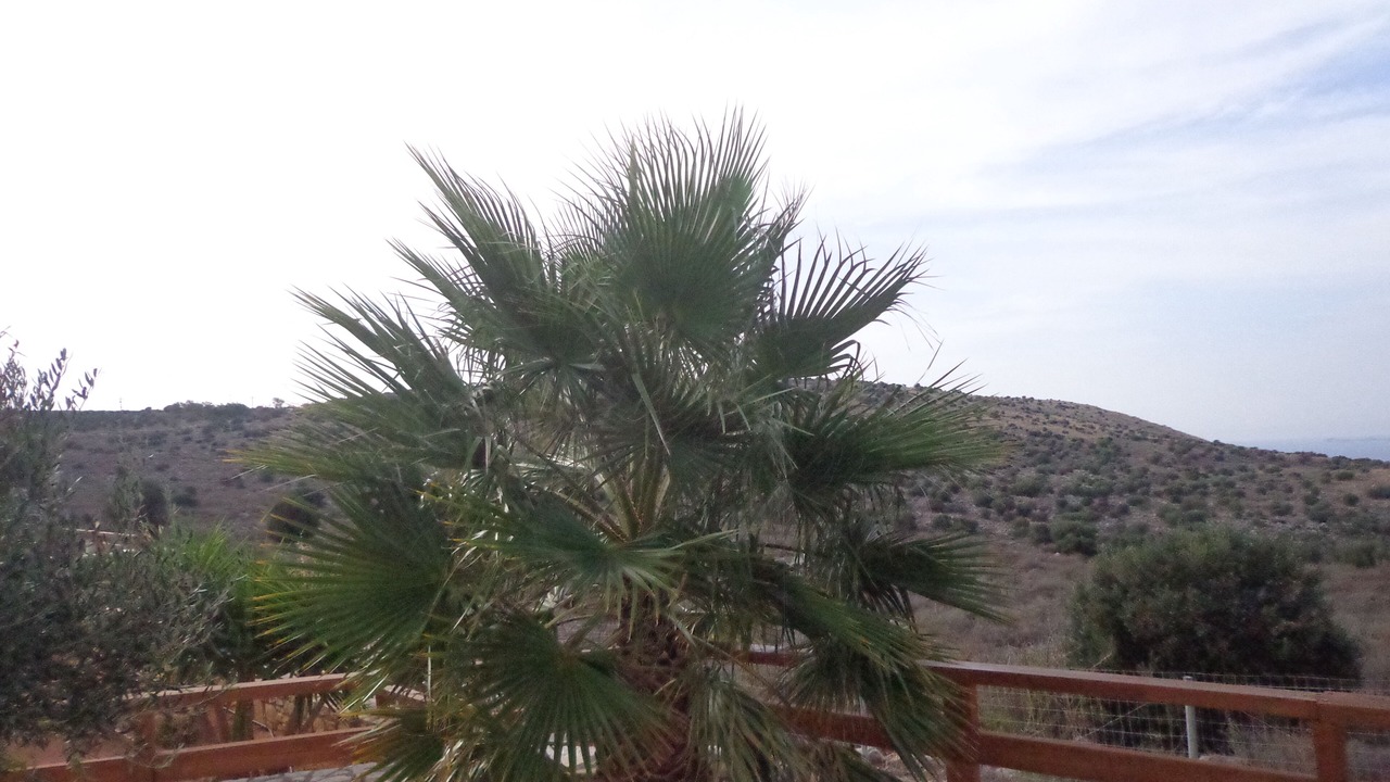 Photo of Outdoor in Skotino
