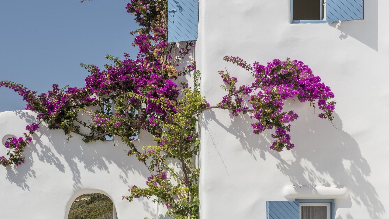 Photo of Patio Balcony in Santa Maria
