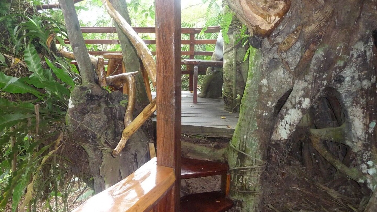 Photo of Patio Balcony in Cahuita