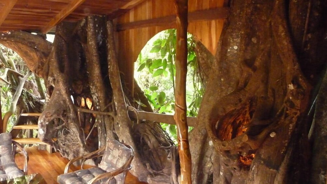 Photo of Others in Cahuita