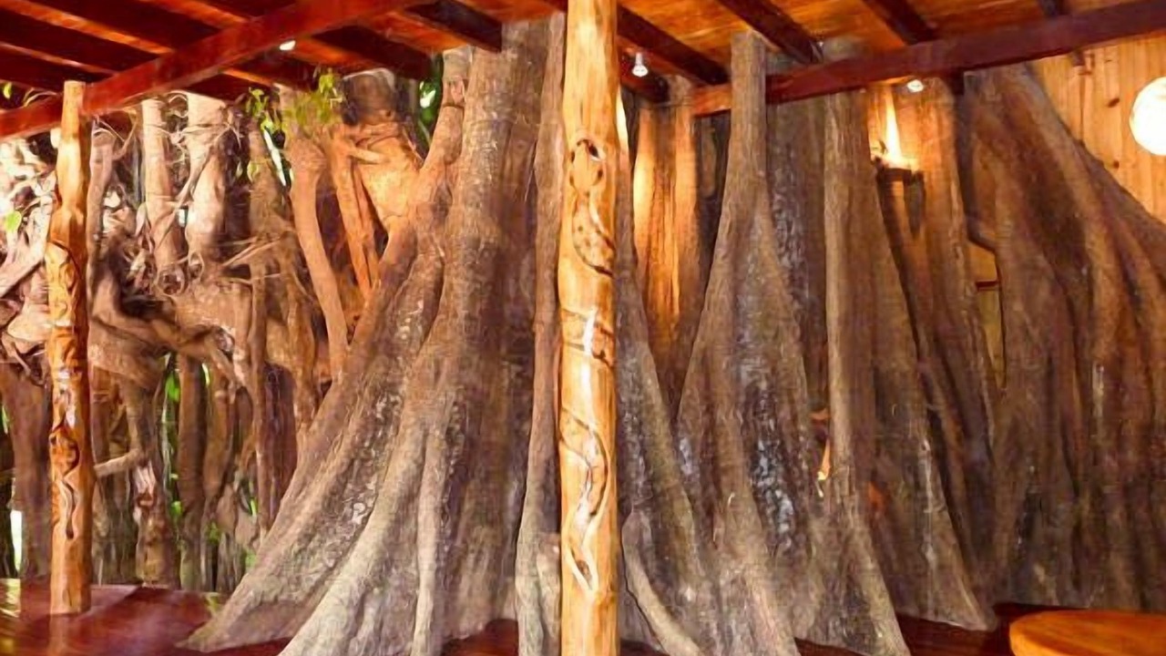 Photo of Others in Cahuita