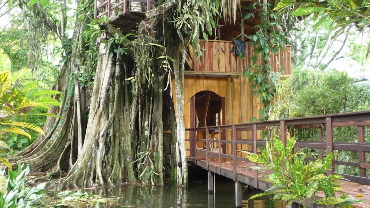 Photo of Others in Cahuita