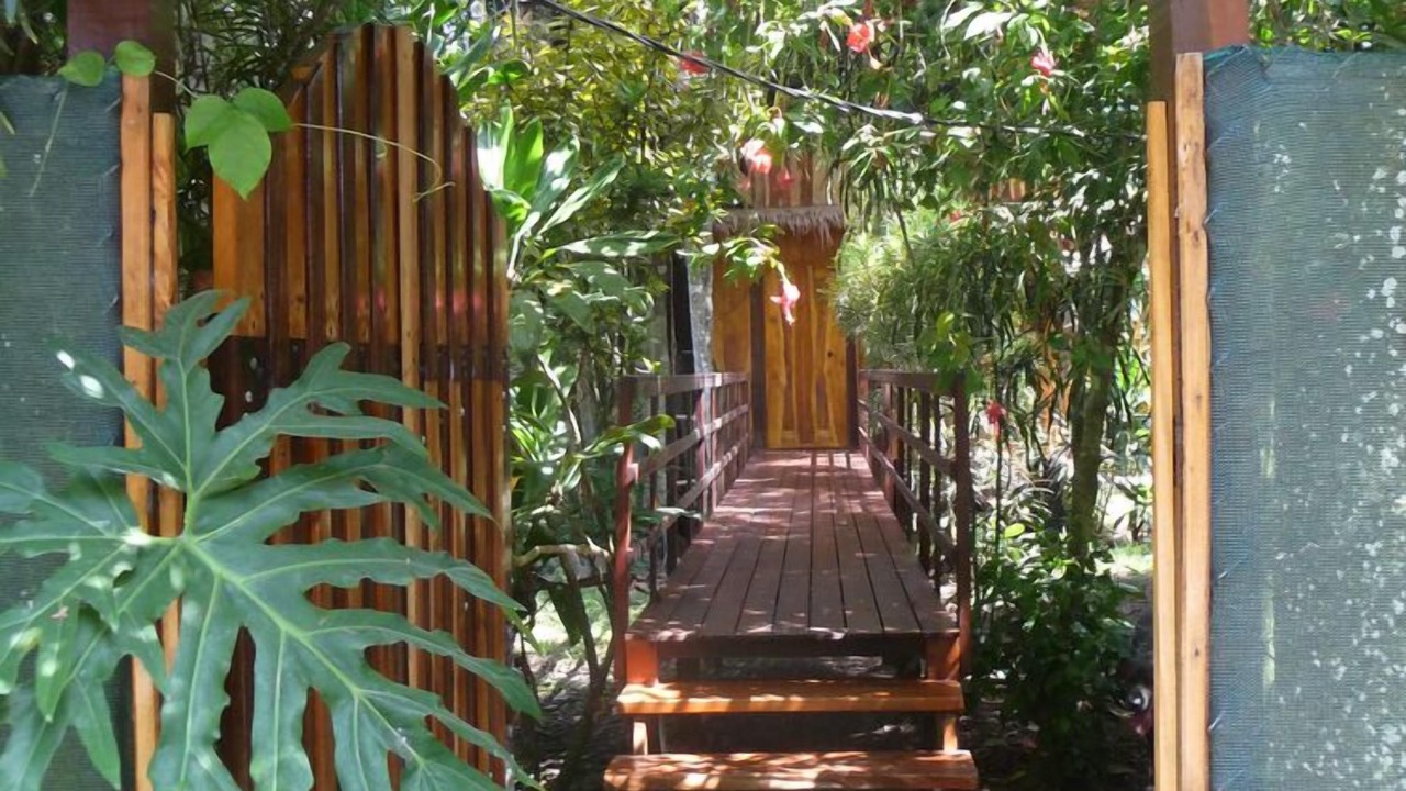 Photo of Others in Cahuita