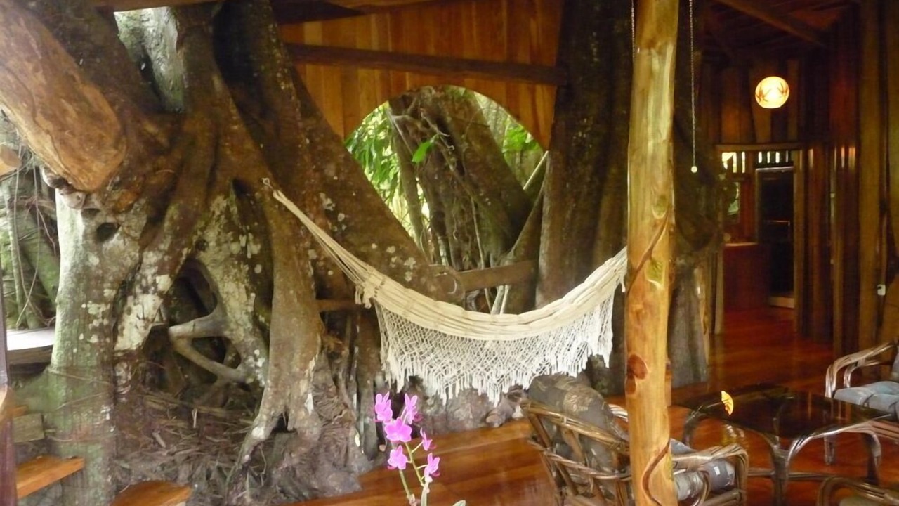 Photo of Others in Cahuita
