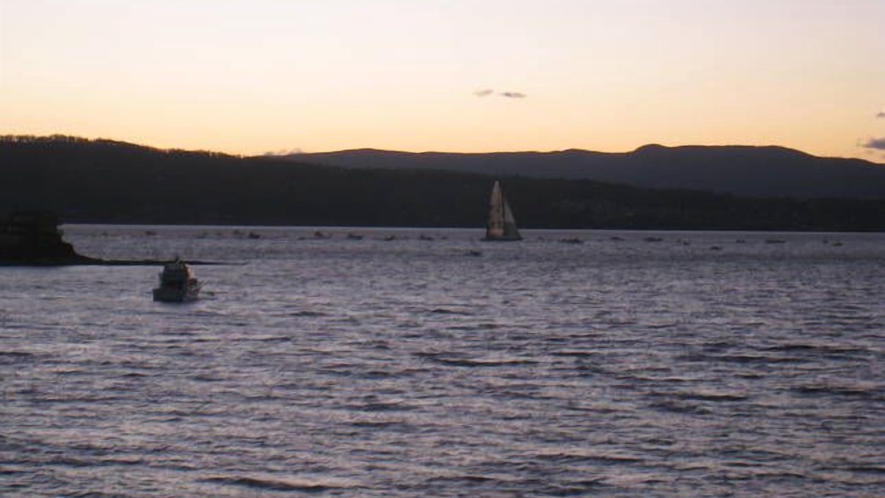 Photo of Others in Opossum Bay