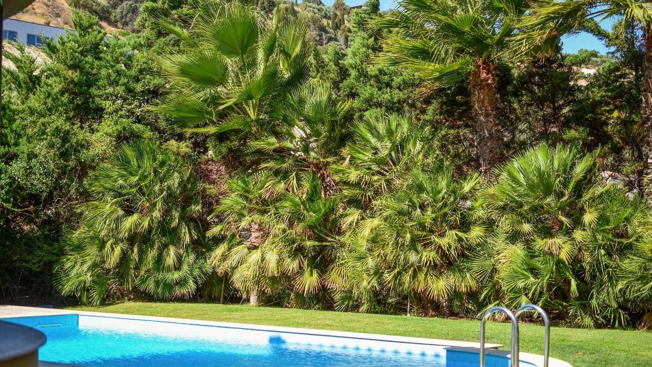 Photo of Outdoor in Finikia
