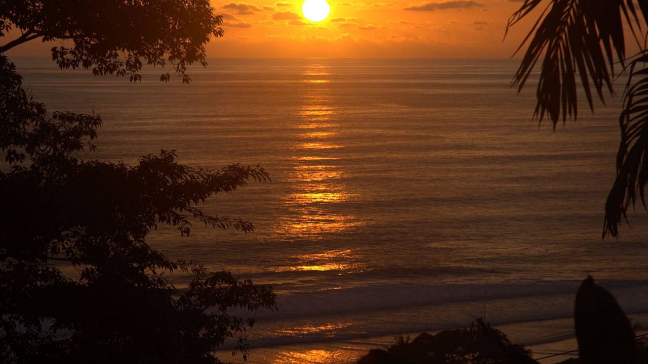 Photo of Others in Dominical