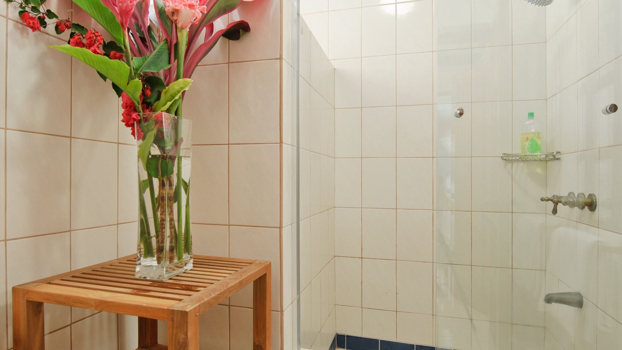 Photo of Bathroom in Escazu