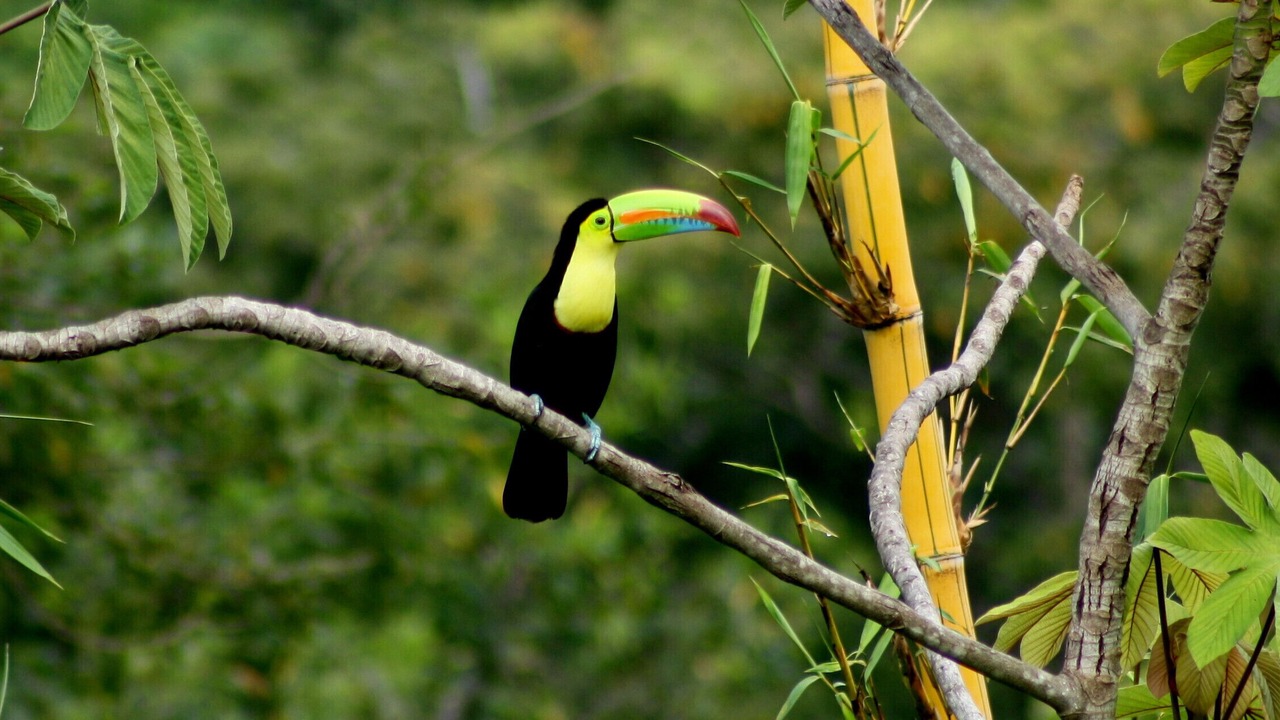 Photo of Others in Punta Uva