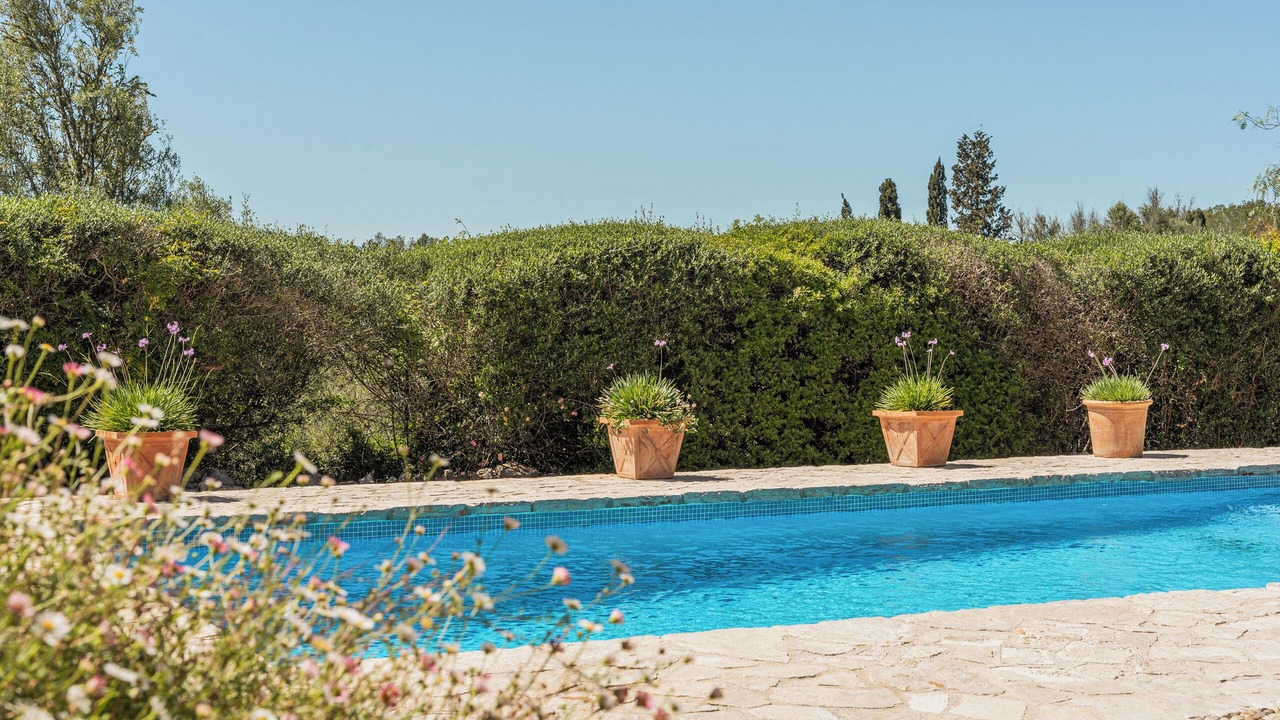 Photo of Outdoor in Sencelles