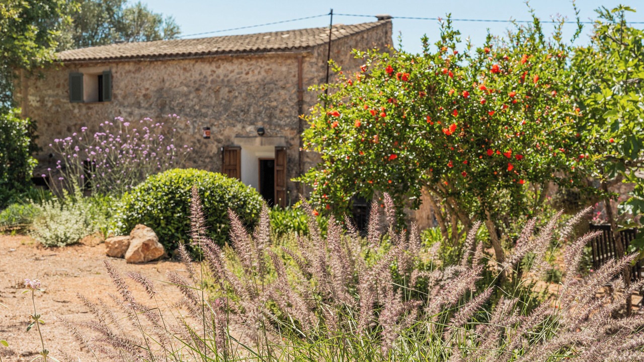 Photo of Outdoor in Sencelles