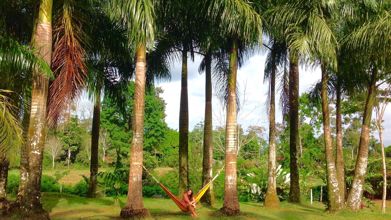 Photo of Others in La Fortuna