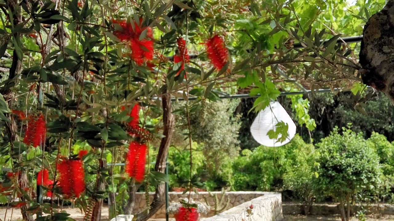 Photo of Outdoor in Vasilikos