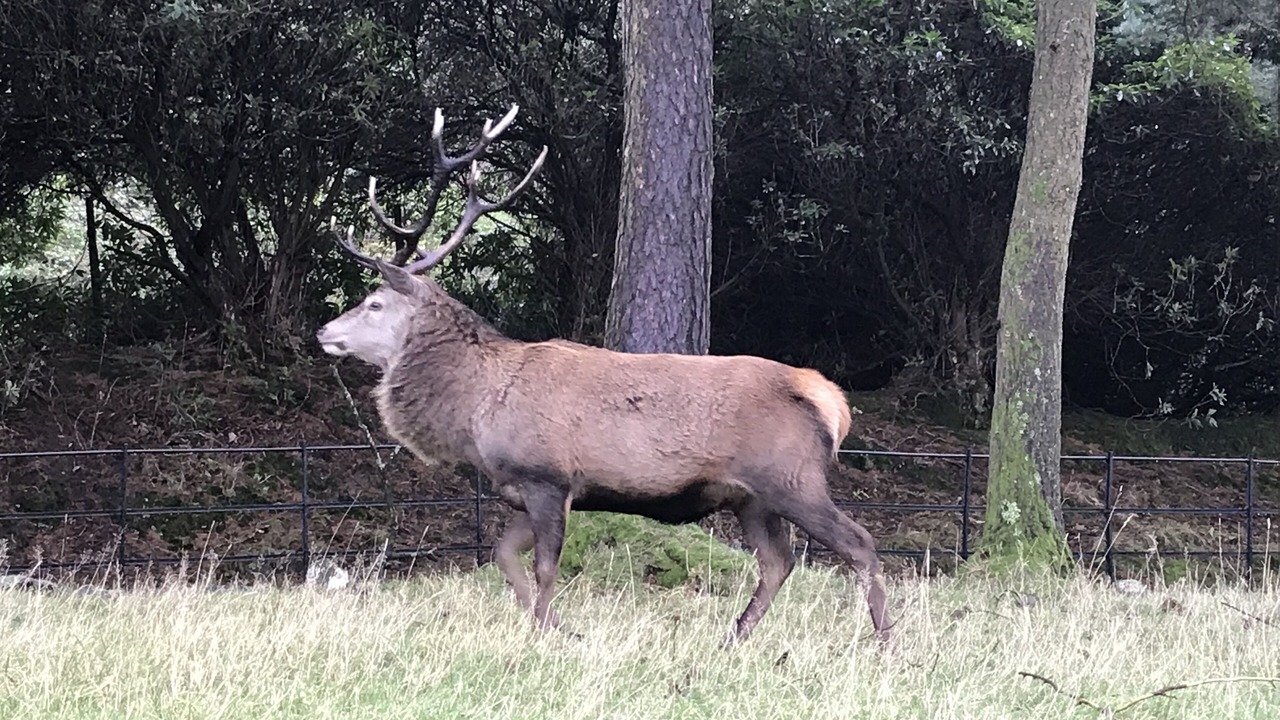 Photo of Others in Isle of Arran
