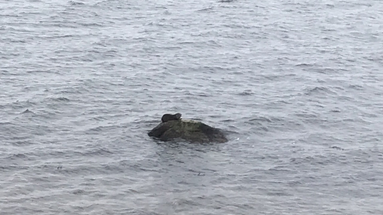 Photo of Others in Isle of Arran