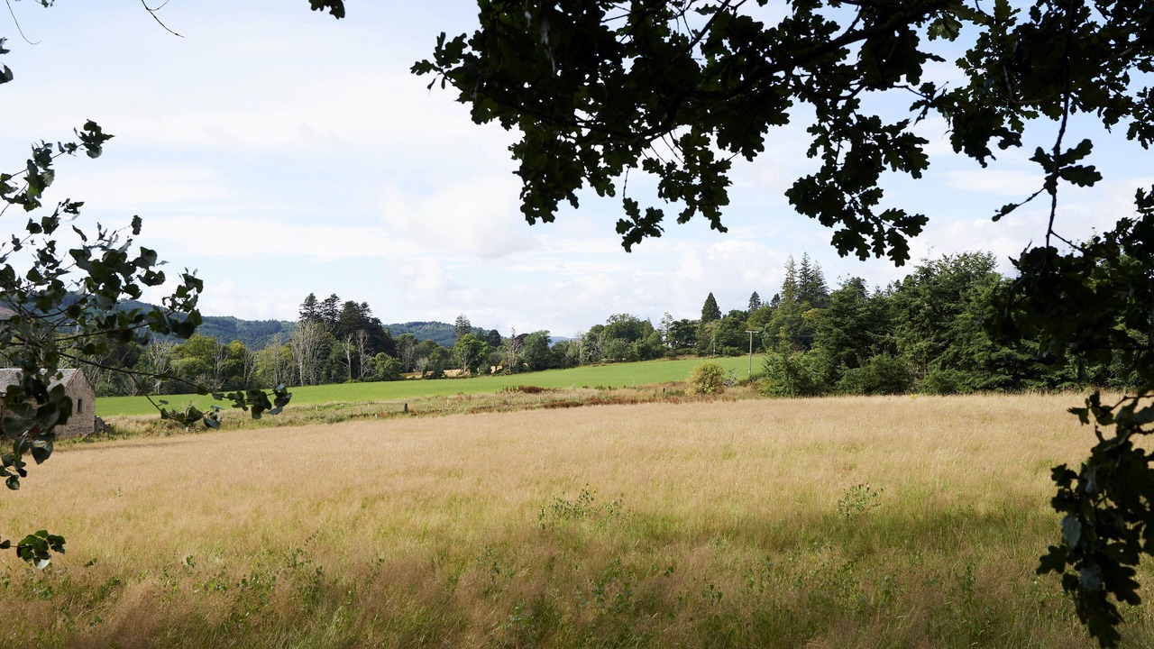 Photo of Others in Kirkhill