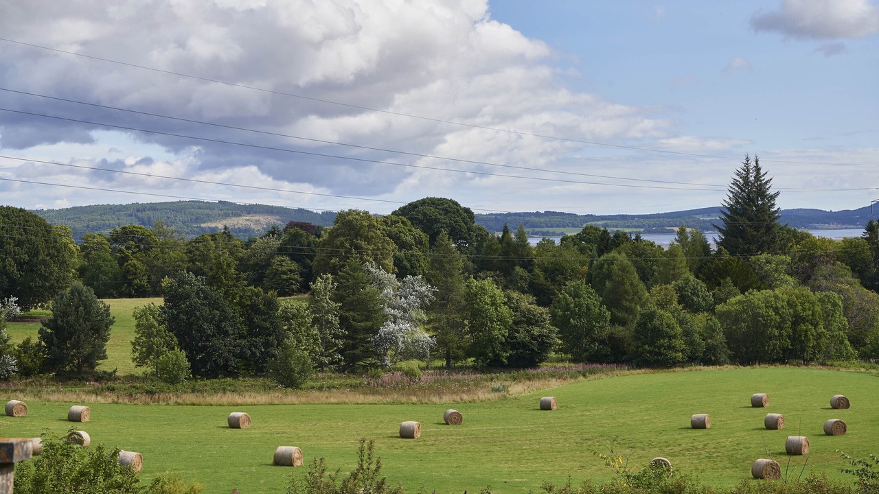 Photo of Others in Kirkhill