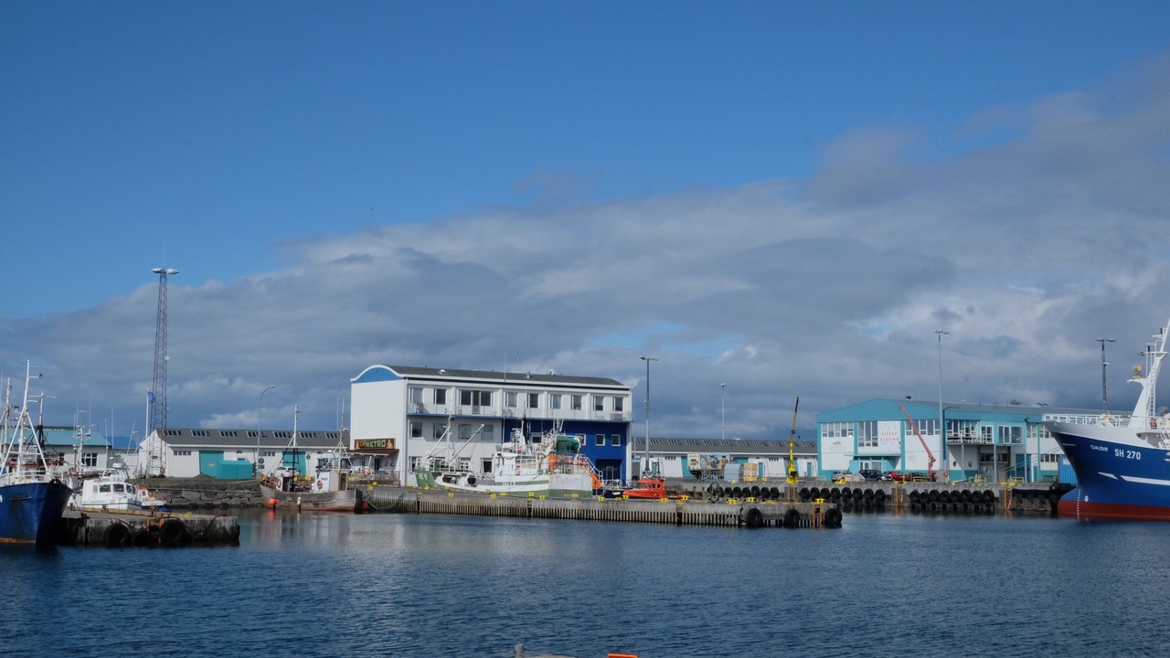 Photo of Others in Vesturbær