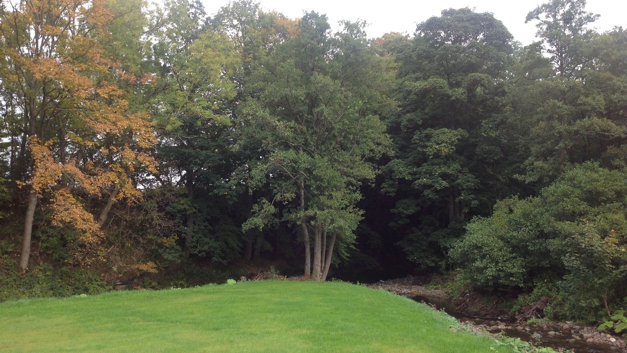 Photo of Outdoor in Auchterarder