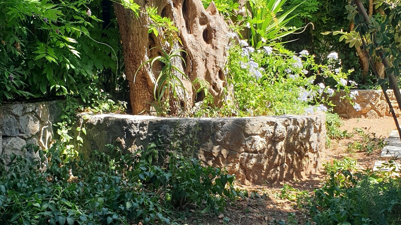 Photo of Outdoor in Achilleio