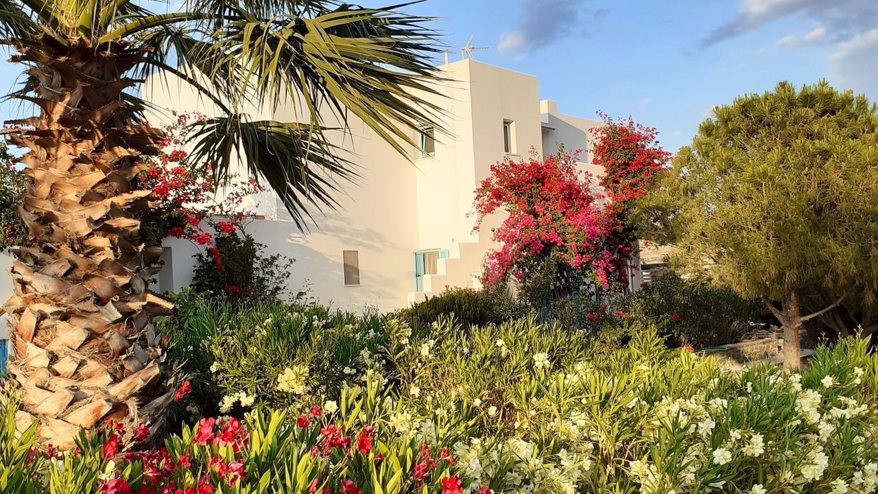 Photo of Outdoor in Naousa