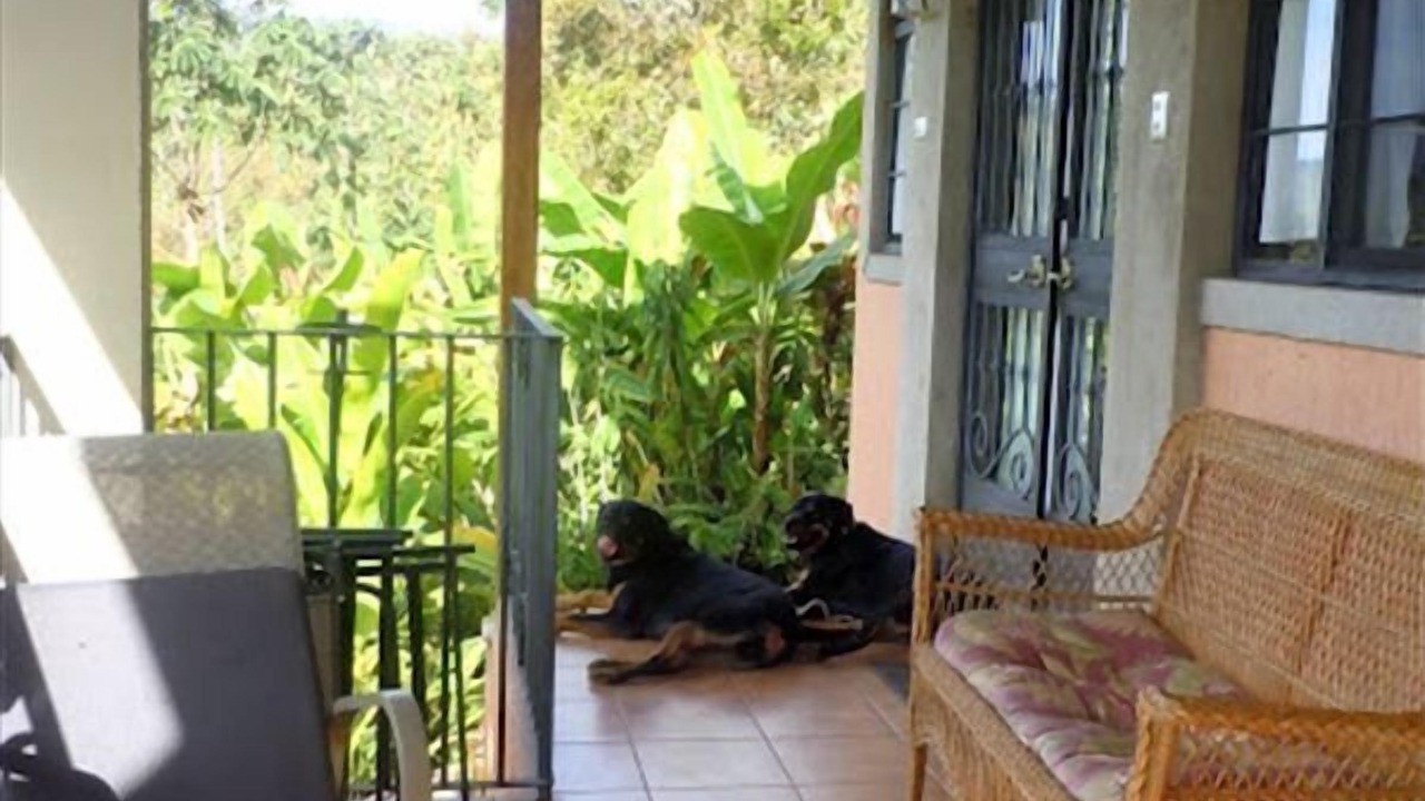 Photo of Others in Orosi