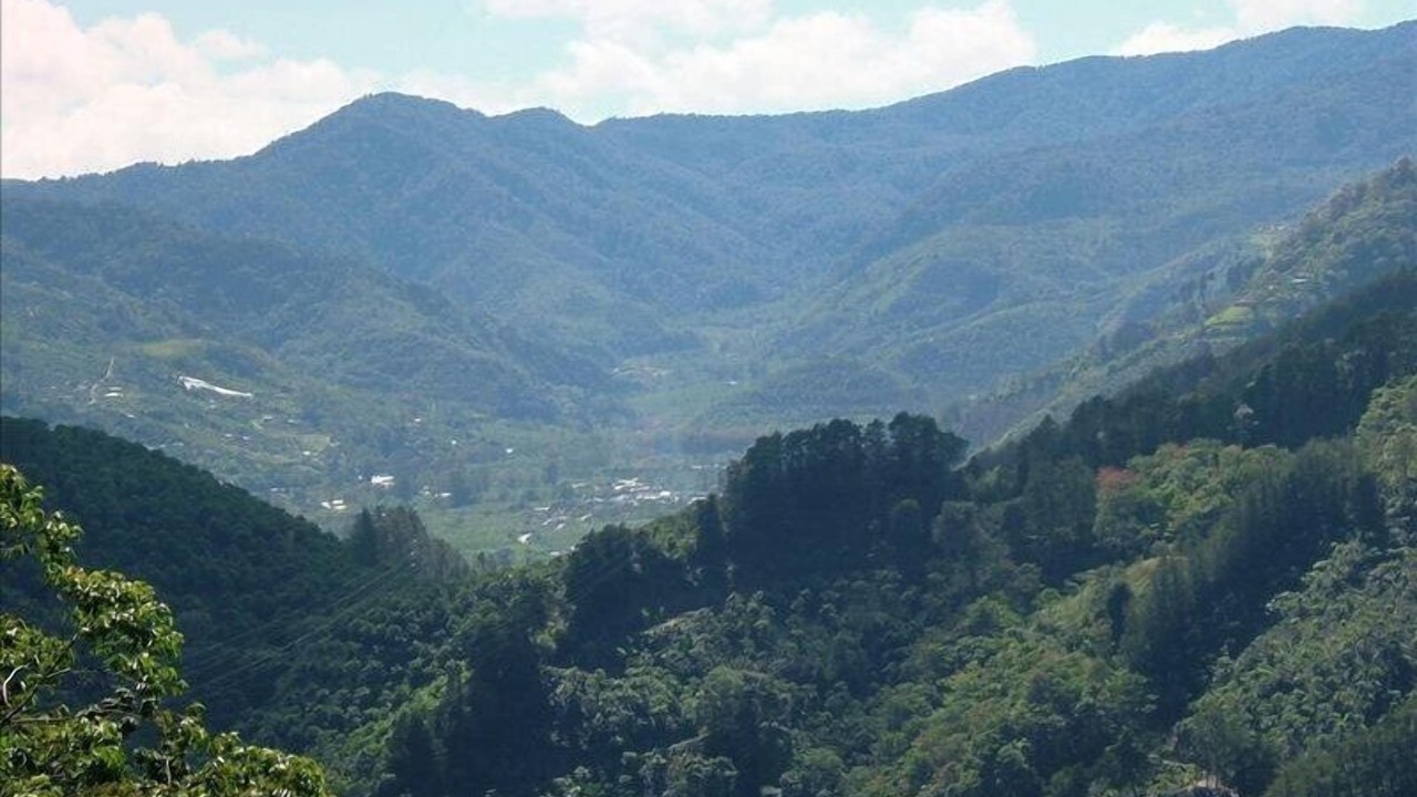 Photo of Others in Orosi