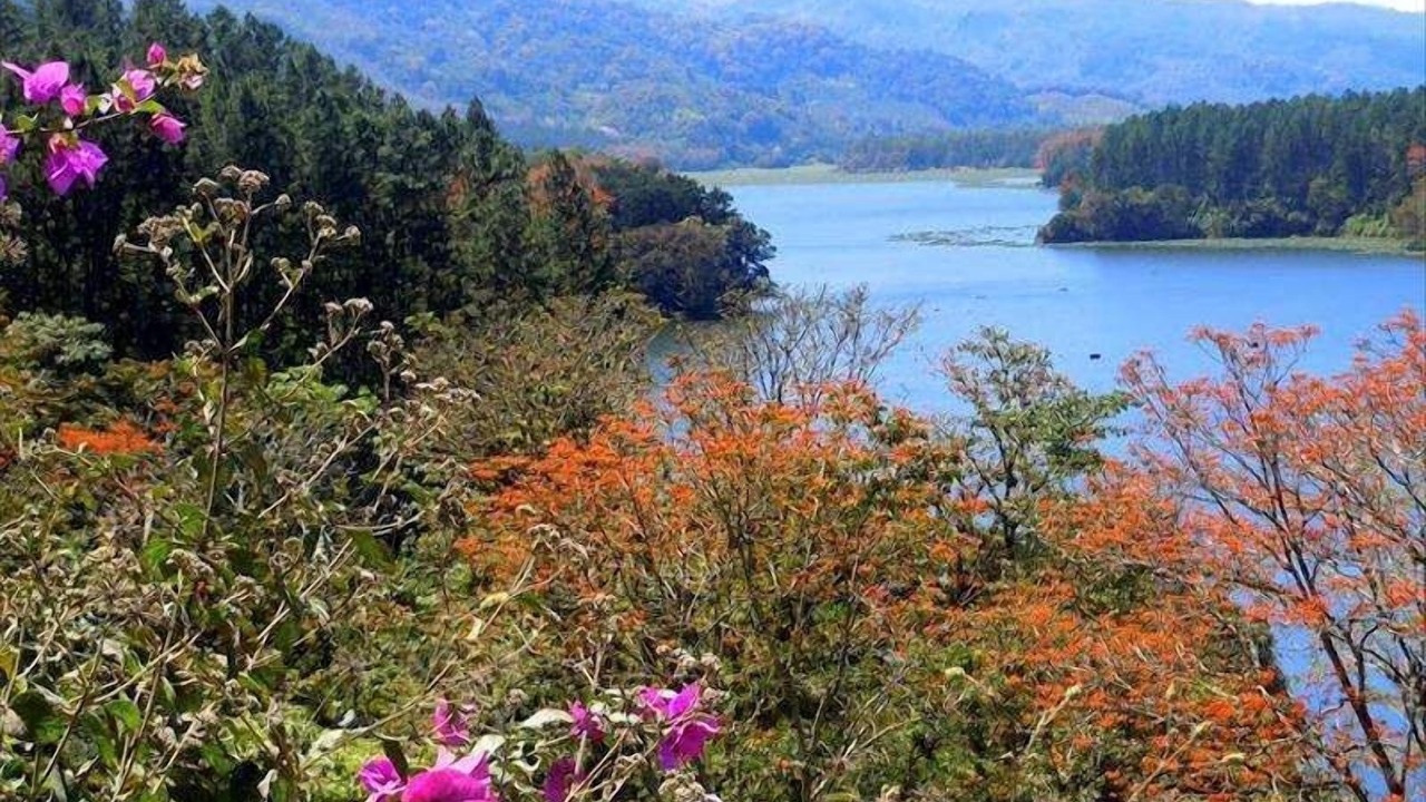 Photo of Outdoor in Orosi