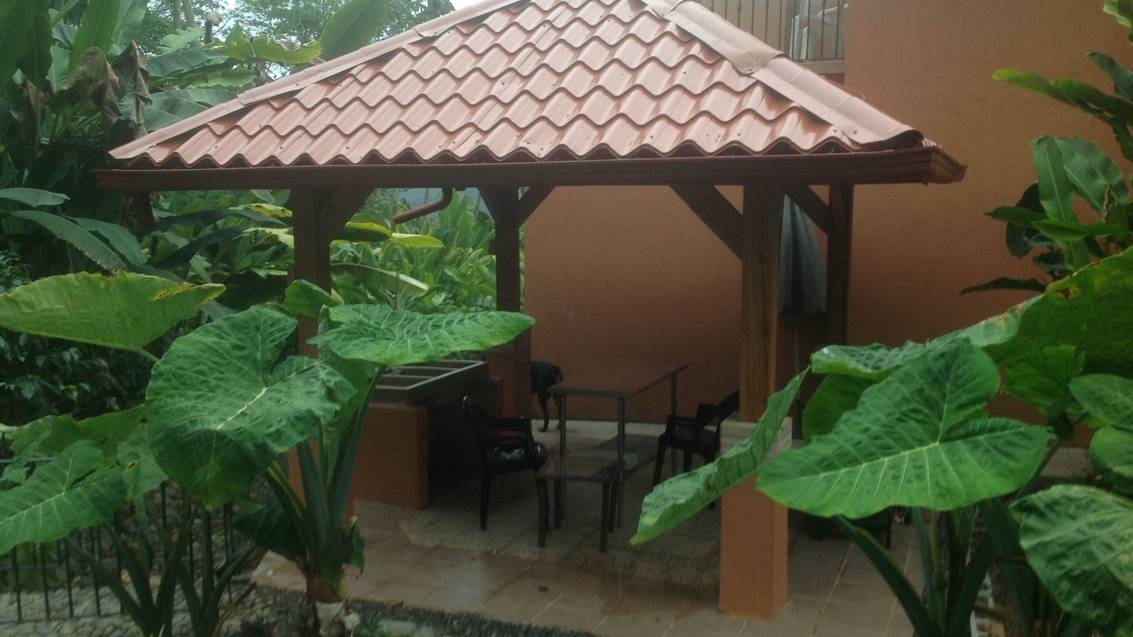 Photo of Outdoor in Orosi