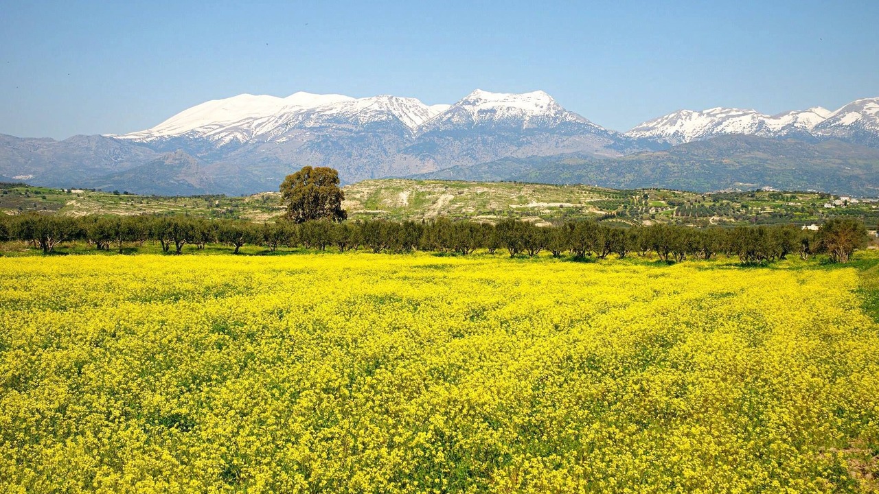Photo of Outdoor in Heraklion