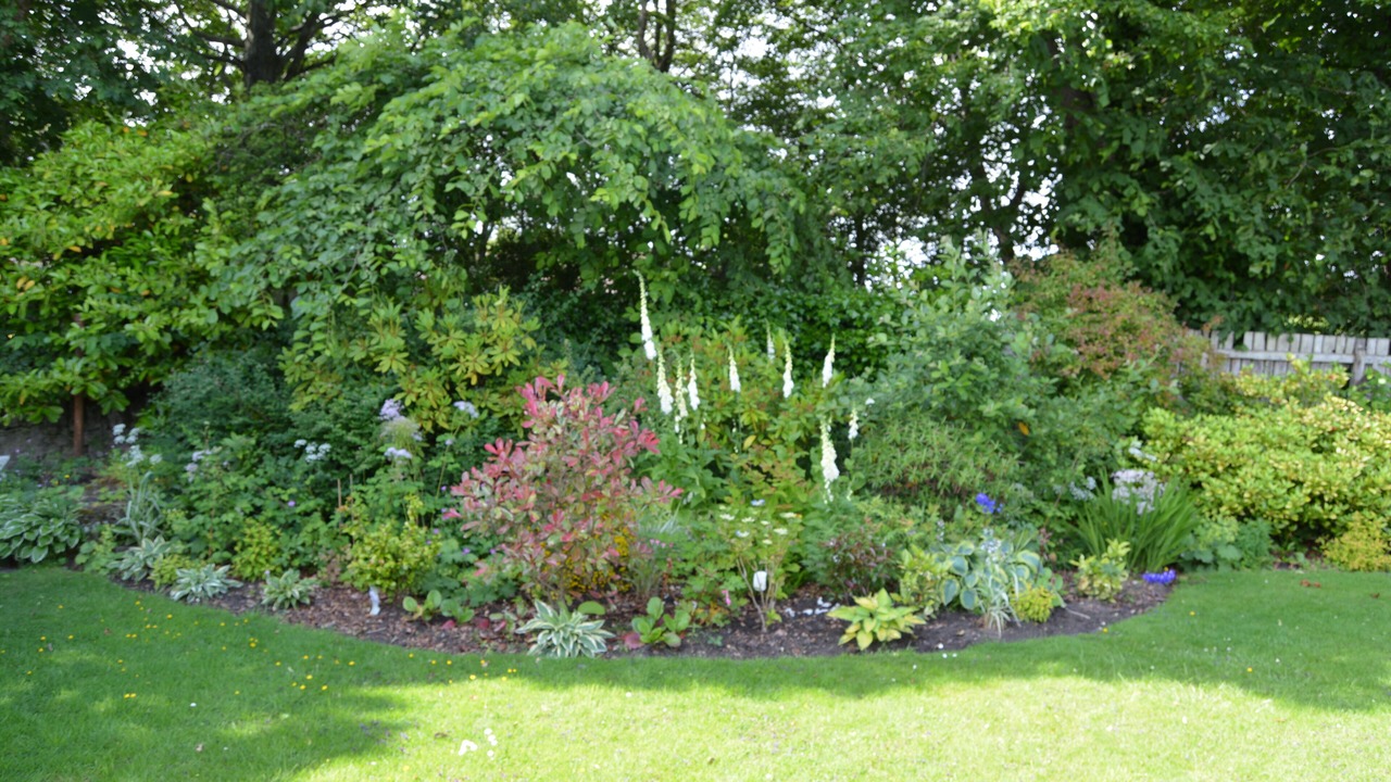 Photo of Outdoor in Nairn