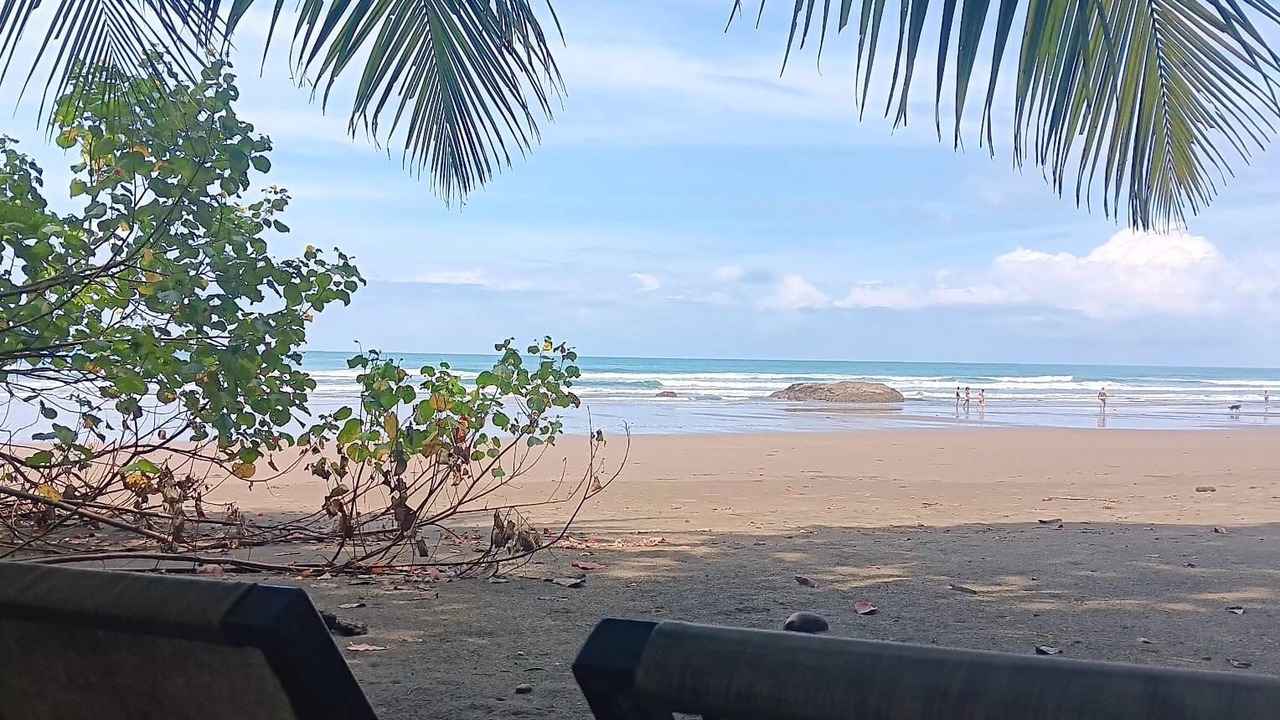 Photo of Others in Dominical