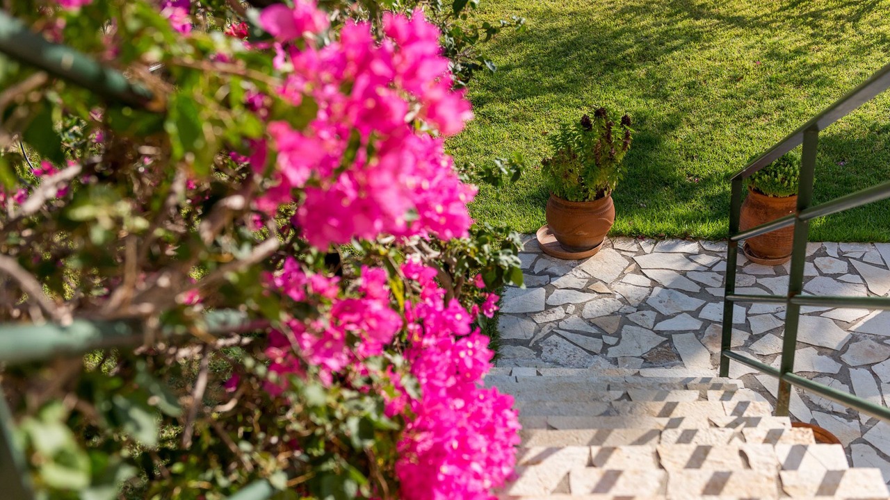 Photo of Outdoor in Kateleios