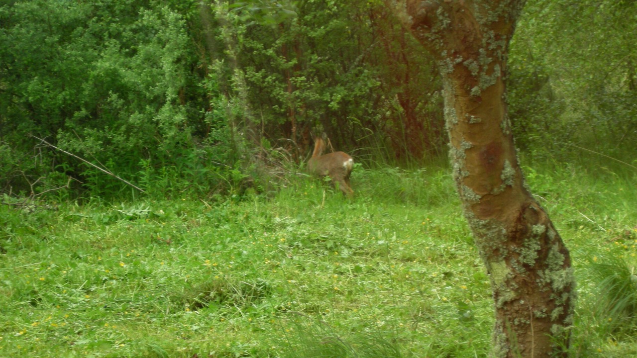 Photo of Outdoor in Mulben