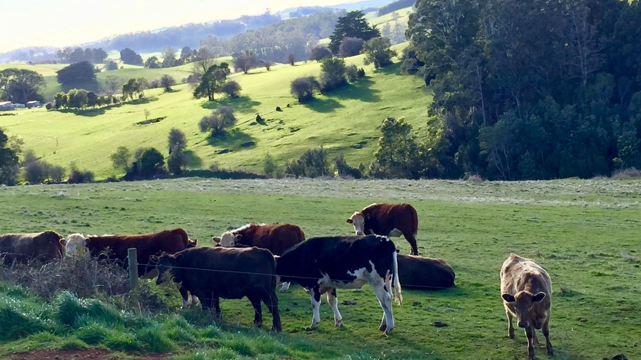 Photo of Outdoor in West Kentish