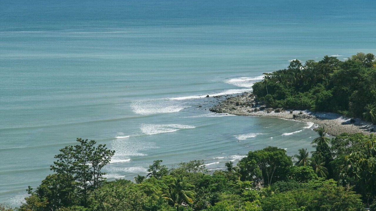 Photo of Others in Cabo Matapalo