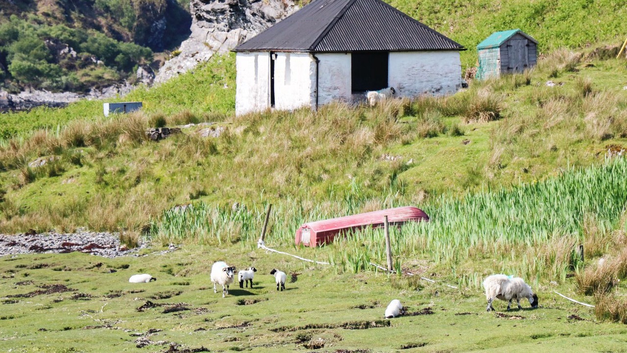 Photo of Outdoor in Morar