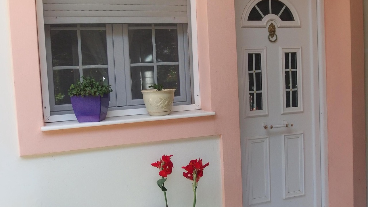 Photo of Outdoor in Zola