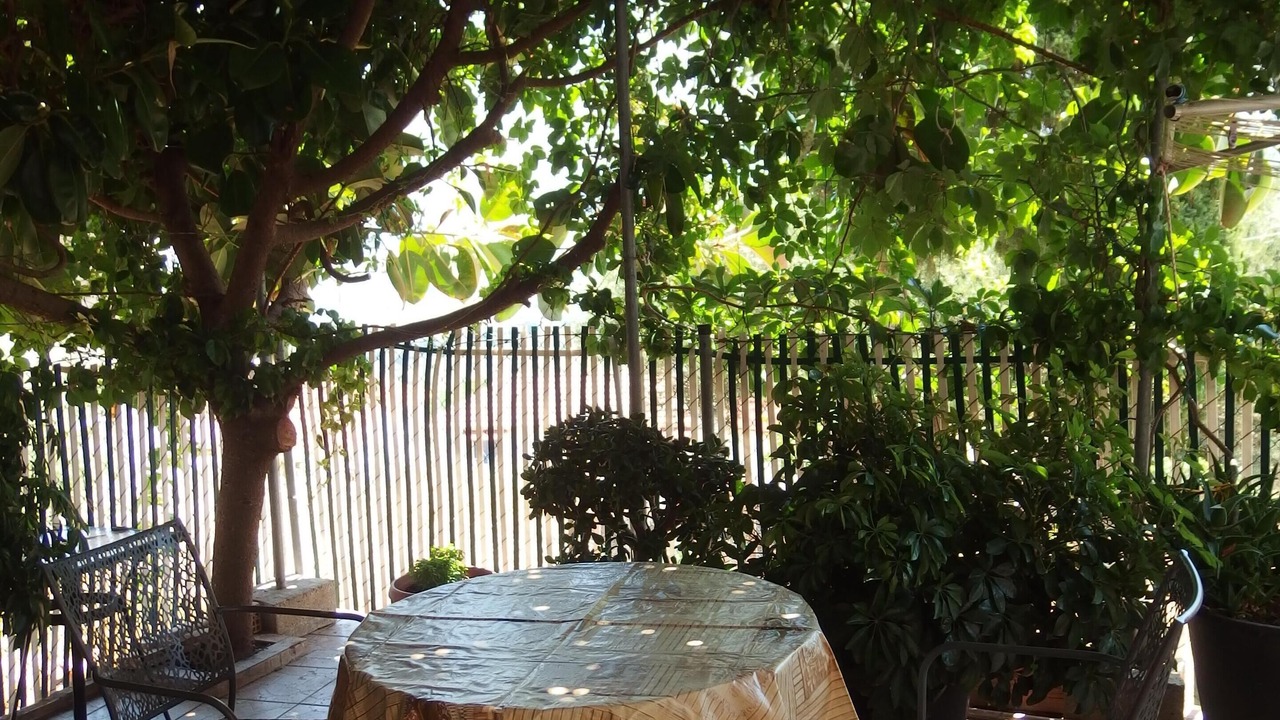 Photo of Outdoor in Zola