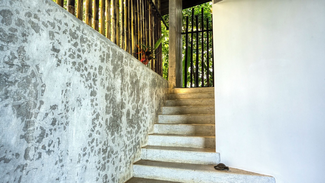 Photo of Outdoor in Hatillo